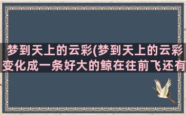 梦到天上的云彩(梦到天上的云彩变化成一条好大的鲸在往前飞还有叫声)