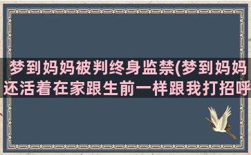 梦到妈妈被判终身监禁(梦到妈妈还活着在家跟生前一样跟我打招呼)