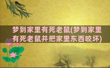 梦到家里有死老鼠(梦到家里有死老鼠并把家里东西咬坏)