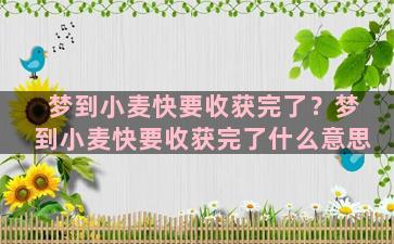 梦到小麦快要收获完了？梦到小麦快要收获完了什么意思