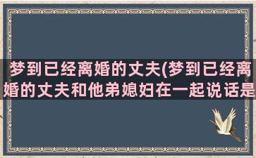 梦到已经离婚的丈夫(梦到已经离婚的丈夫和他弟媳妇在一起说话是啥意思)