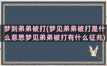 梦到弟弟被打(梦见弟弟被打是什么意思梦见弟弟被打有什么征兆)