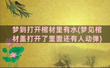 梦到打开棺材里有水(梦见棺材盖打开了里面还有人动弹)