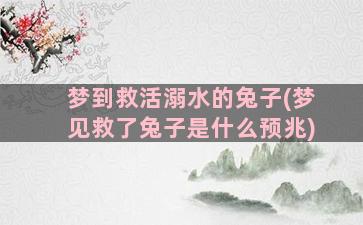 梦到救活溺水的兔子(梦见救了兔子是什么预兆)