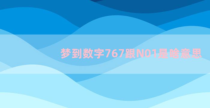 梦到数字767跟N01是啥意思