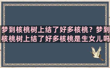 梦到核桃树上结了好多核桃？梦到核桃树上结了好多核桃是生女儿吗