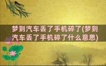 梦到汽车丢了手机碎了(梦到汽车丢了手机碎了什么意思)