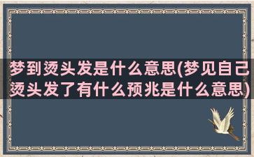 梦到烫头发是什么意思(梦见自己烫头发了有什么预兆是什么意思)