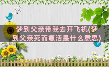 梦到父亲带我去开飞机(梦到父亲死而复活是什么意思)