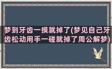 梦到牙齿一摸就掉了(梦见自己牙齿松动用手一碰就掉了周公解梦)