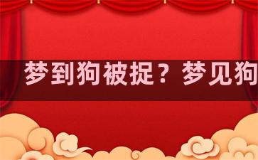 梦到狗被捉？梦见狗被捉