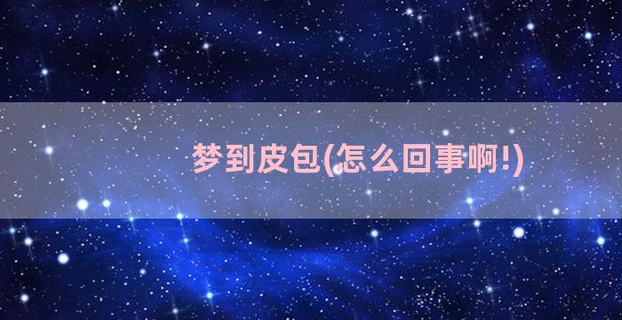 梦到皮包(怎么回事啊!)