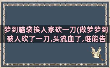 梦到脑袋挨人家砍一刀(做梦梦到被人砍了一刀,头流血了,谁能告诉我这预示着什么)