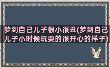 梦到自己儿子很小很丑(梦到自己儿子小时候玩耍的很开心的样子)