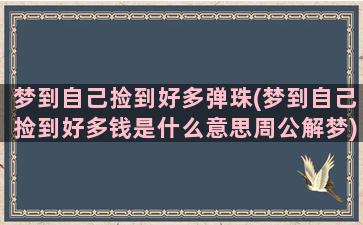 梦到自己捡到好多弹珠(梦到自己捡到好多钱是什么意思周公解梦)