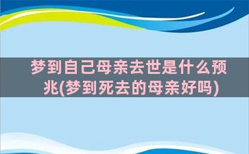 梦到自己母亲去世是什么预兆(梦到死去的母亲好吗)