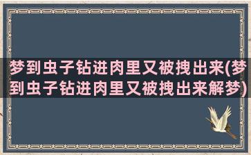 梦到虫子钻进肉里又被拽出来(梦到虫子钻进肉里又被拽出来解梦)