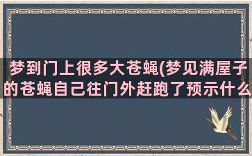 梦到门上很多大苍蝇(梦见满屋子的苍蝇自己往门外赶跑了预示什么)