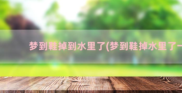 梦到鞋掉到水里了(梦到鞋掉水里了一只)