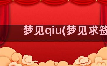 梦见qiu(梦见求签)