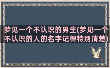 梦见一个不认识的男生(梦见一个不认识的人的名字记得特别清楚)