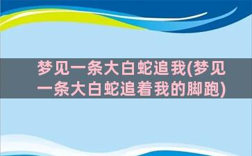 梦见一条大白蛇追我(梦见一条大白蛇追着我的脚跑)