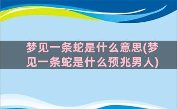 梦见一条蛇是什么意思(梦见一条蛇是什么预兆男人)