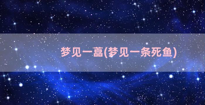 梦见一藠(梦见一条死鱼)