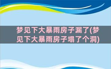 梦见下大暴雨房子漏了(梦见下大暴雨房子塌了个洞)