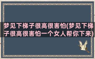 梦见下梯子很高很害怕(梦见下梯子很高很害怕一个女人帮你下来)