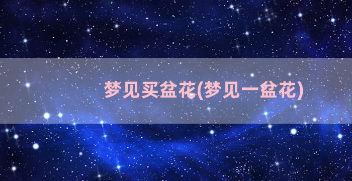 梦见买盆花(梦见一盆花)