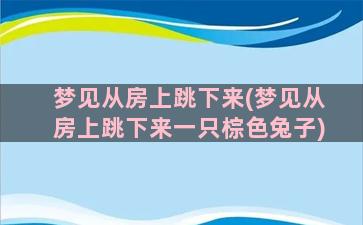 梦见从房上跳下来(梦见从房上跳下来一只棕色兔子)