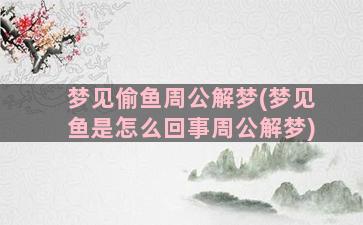 梦见偷鱼周公解梦(梦见鱼是怎么回事周公解梦)