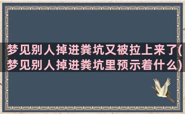 梦见别人掉进粪坑又被拉上来了(梦见别人掉进粪坑里预示着什么)