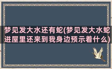 梦见发大水还有蛇(梦见发大水蛇进屋里还来到我身边预示着什么)