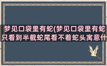 梦见口袋里有蛇(梦见口袋里有蛇只看到半截蛇尾看不着蛇头寓意什么)