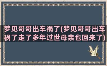 梦见哥哥出车祸了(梦见哥哥出车祸了走了多年过世母亲也回来了)