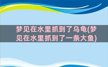 梦见在水里抓到了乌龟(梦见在水里抓到了一条大鱼)