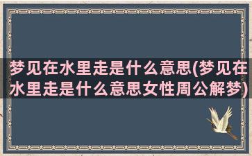 梦见在水里走是什么意思(梦见在水里走是什么意思女性周公解梦)