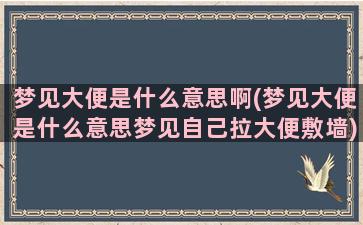 梦见大便是什么意思啊(梦见大便是什么意思梦见自己拉大便敷墙)