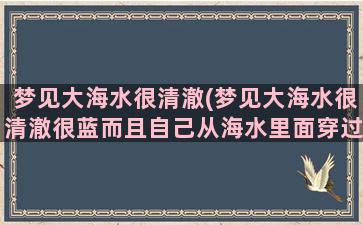 梦见大海水很清澈(梦见大海水很清澈很蓝而且自己从海水里面穿过)