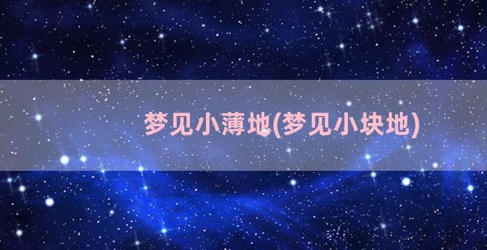 梦见小薄地(梦见小块地)