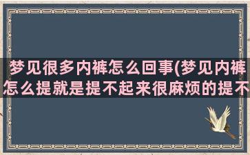 梦见很多内裤怎么回事(梦见内裤怎么提就是提不起来很麻烦的提不起来)