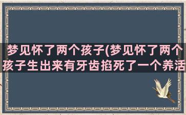 梦见怀了两个孩子(梦见怀了两个孩子生出来有牙齿掐死了一个养活了一个)