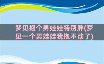 梦见抱个男娃娃特别胖(梦见一个男娃娃我抱不动了)