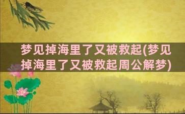 梦见掉海里了又被救起(梦见掉海里了又被救起周公解梦)