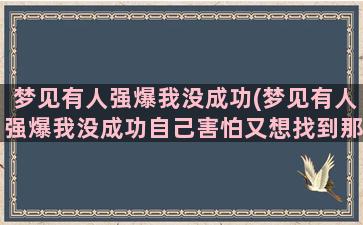 梦见有人强爆我没成功(梦见有人强爆我没成功自己害怕又想找到那个人)