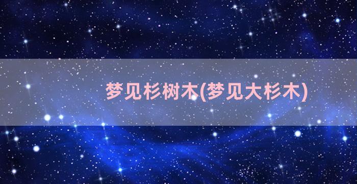 梦见杉树木(梦见大杉木)