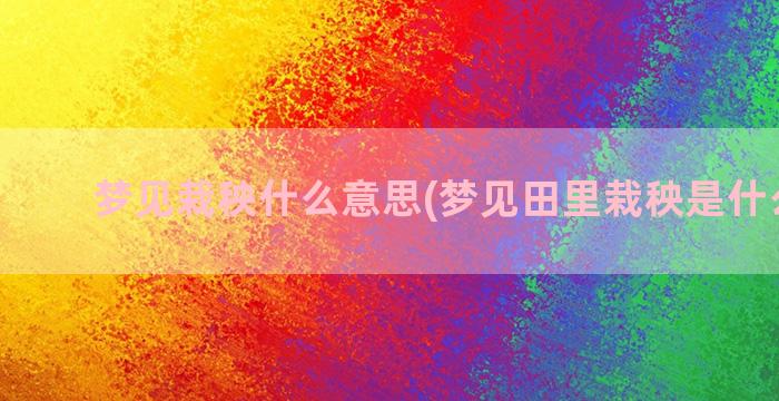 梦见栽秧什么意思(梦见田里栽秧是什么意思)