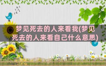 梦见死去的人来看我(梦见死去的人来看自己什么意思)